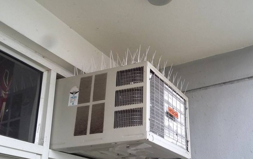 Bird Spikes & Pigeon Spikes